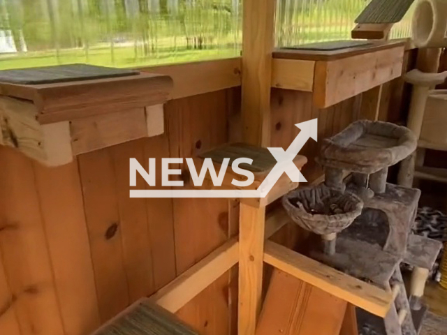 Couple from Rochester, New York in United States, builds an impressive cat house for their cat colony. Note: Picture is a screenshot from a video (@freedomfarmhouse/Newsflash)