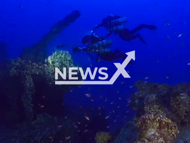 A dive at the underwater site of the HMS Nasturtium, ship that sank on 28th April 1916, where Heritage Malta completed a  net removal project  in July, 2021, in Malta.
 
Note: Photo is a screenshot from video. (Newsflash)