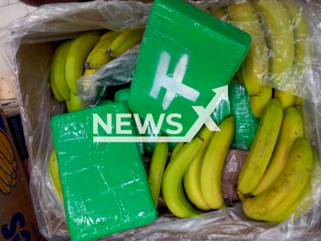 Cocaine cubes   found in banana boxes, in June, 2022, in Jicin and Rychnov nad Kneznou in the Czech Republic.
Note: Police photo. (@PolicieCZ/Newsflash)