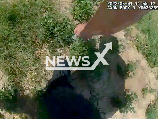 Officer Stephen Farmer spotted the money on the side of the road on the 1st of May 2022 in Buckeye, Arizona.  Note: This picture is a screenshot from the video (Buckeye Police Department AZ/Newsflash).