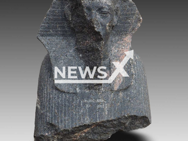 A statue fragment of a sphinx of King Amenemhat III found during excavations in the city of Heliopolis in Egypt. Note: Licensed content. (Dietrich Raue/Newsflash)