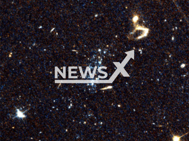 UArizona astronomers have identified a new class of star system. The collection of mostly young blue stars are seen here using the Hubble Space Telescope Advanced Camera for Surveys.
Note: Licensed photo(Michael Jones/Newsflash).