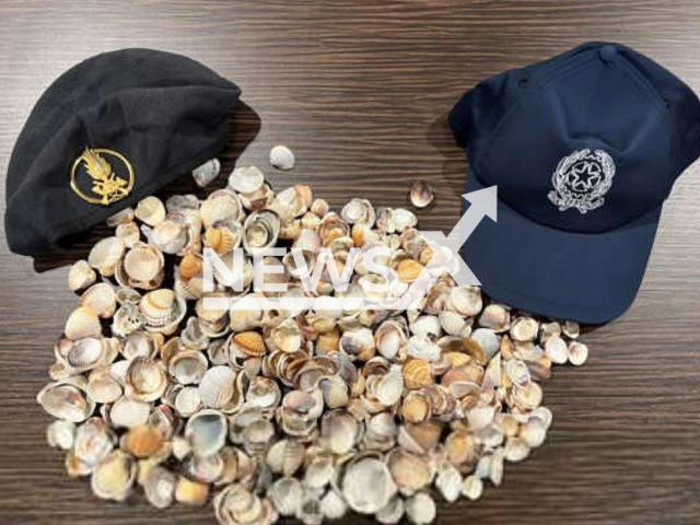 Some of the stones shells taken from  German tourists caught by police and customs at Cagliari airport, Italy, in June, 2022.   Note: Police photo. (Guardia di Finanza/Newsflash)