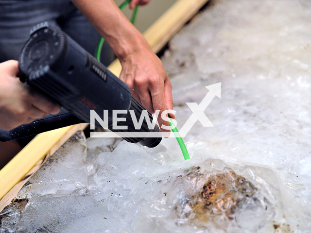 The defrosting process of the 1,300-year-old child's grave in the German state of Bavaria. Note: Licensed photo. (BLfD/Newsflash)