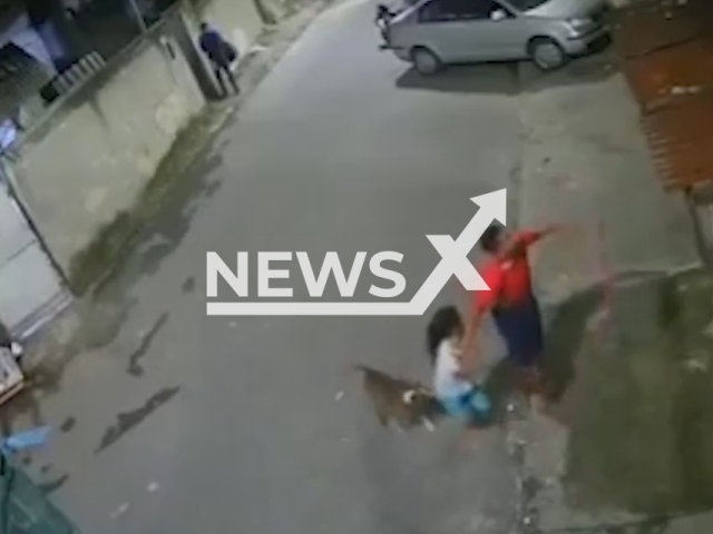 A nine-year-old boy bitten on the leg by a pitbull dog, which was loose on a street, when it attacked him while out with his brother, 14, they try to fight the dog off, in Sa Joao de Meriti, Brazil, on 27th June. Note: Picture is a screenshot from a video (Newsflash)