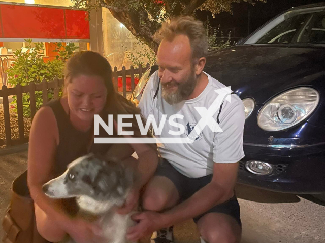 A dog named Jolie that fell into the sea when she was with her owners on a boat bound for Ibiza, was reunited with her owners in Aguillas, Spain. Note: Picture is provided to us by Aguiproan - Paws On Hearts representative. (Aguiproan - Paws On Hearts/Newsflash)