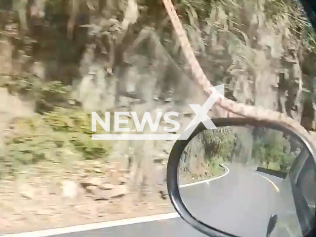 Snake wriggling on windshield of a moving car in Huangshan, China. Note: This picture is a screenshot from the video (hstkym668/AsiaWire).