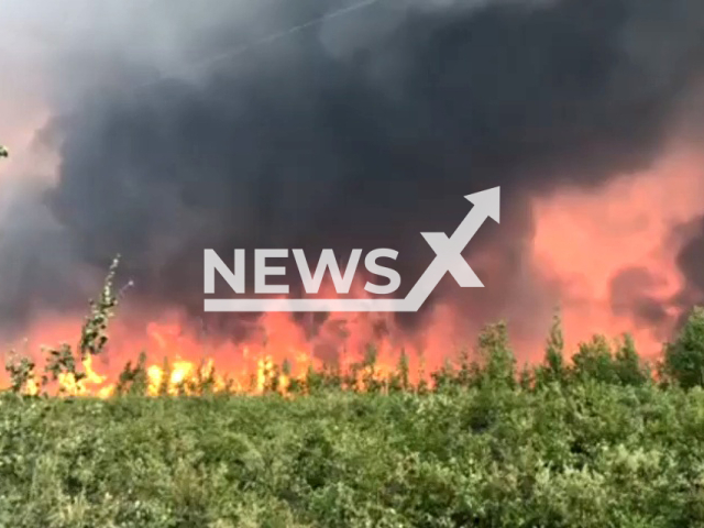 According to the US Forest Service’s information platform InciWeb on 14th July, the Middle Tanana Complex Wildfire was first caused by lightning last week.Note: Picture is a screenshot from a video (InciWeb, Aaron Kozevnikoff Jr./Newsflash)