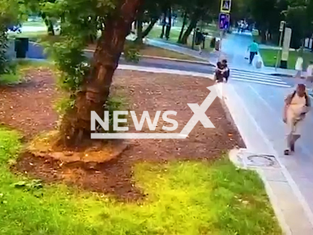 A man died after he was crushed by a tree in Moscow, Russia.  Note: This picture is a screenshot from the video (@moscowproc/Newsflash).