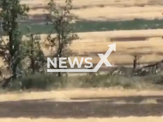 Combat work of soldiers of the10th Mountain Assault Brigade destroying with artillery a group of Russian invaders who were hiding in a forest, in Ukraine. Note: Picture is a screenshot from a video (@10brygada/Newsflash)