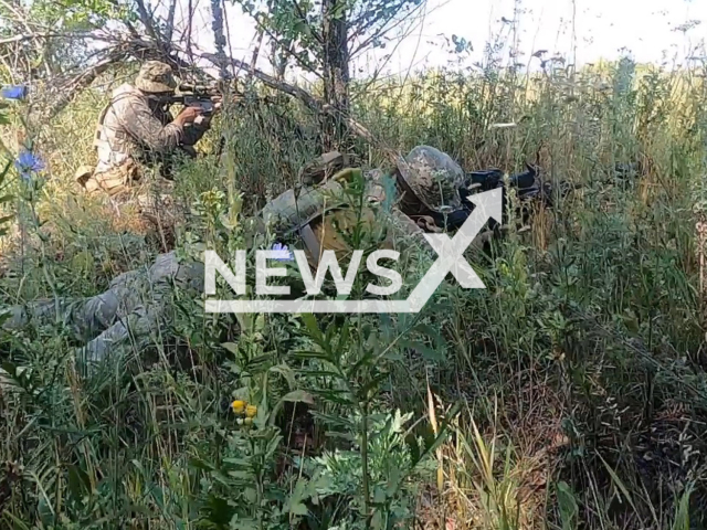 Snipers of the the 79th separate amphibious assault brigade of Mykolaiv aim their guns in forest area in Donetsk region, in Ukraine in an undated photo. Together with other units, snipers of the Ukrainian Air assault troops took an active part in destroying Russian enemy's manpower. Note: Picture is a screenshot from a video (@www.dshv.mil.gov.ua/Newsflash)