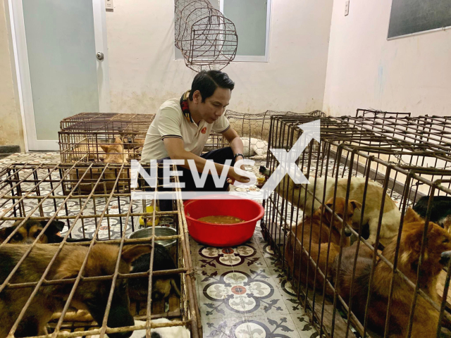 Do Minh Khoi feeds the dogs, that he rescued from a slaughterhouse, in an undated photo. Do Minh Khoi, 46, came across 31 dogs about to be slaughtered and bought all of them for VND 24 million (GBP 841) in Nha Trang, Vietnam, Wednesday, July 27, 2022. Note: Photo was provided to us by Do Minh Khoi (Do Minh Khoi/Newsflash)