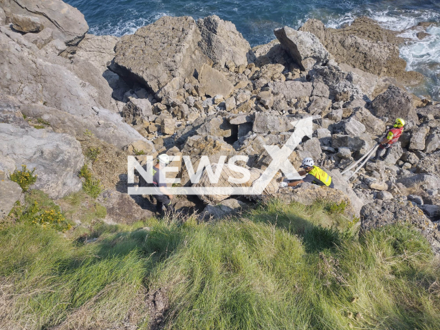 Emergency service workers with the cow that fell off a cliff in Ruiloba, northern Spain, in an undated picture. The cow was rescued using a helicopter.
Notes: Picture is from emergency services (@112Cantabria/Newsflash)