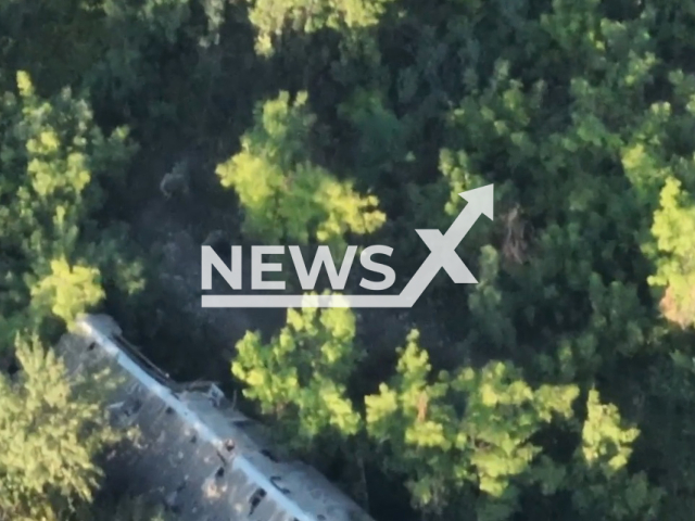 Picture shows Russian soldiers moving through the bushes in Ukraine in undated footage.
According to Ukrainian military authorities' Russian soldiers disappeared after the bombardment by the Ukrainian Armed Forces.
Note: Picture is a screenshot from a video (@503obmp/Newsflash)