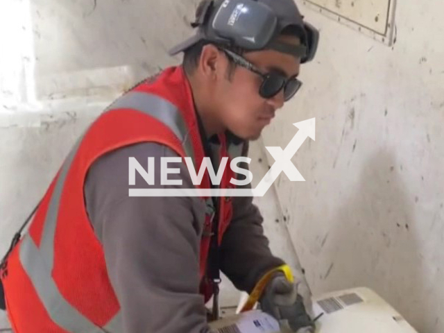 Airline worker loading dog in plane cargo hold in undated footage. This sparked a debate on pet travel over the safety of dogs. Note: Photo is a screenshot from the video (@djsugue/Newsflash)