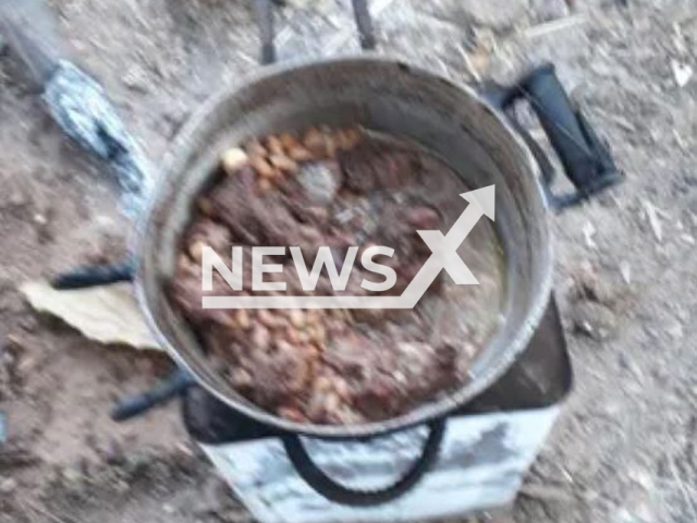 Picture shows a pot with meat found at the house, in an undated photo, in Aparecida de Goiania, Brazil.  An unidentified man was arrested on suspicion of killing, cooking and eating domestic animals.
Note: Police photo. (Guarda Civil de Aparecida/Newsflash)