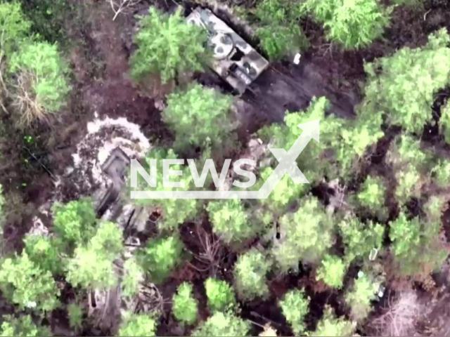 Russian infantry fighting vehicle stands near Russian stronghold hidden among the trees in a forest area of Ukraine in an undated photo. Russian occupiers were detected by aerial reconnaissance of the 71st separate jaeger brigade with help of an unmanned aerial vehicle (UAV). Note: Photo is a screenshot from the video (@71brigade/Newsflash)