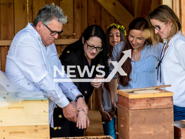 Sustainability officer Deputy Mayor Sarah Katholnig and Franz Primig from the Villach Beekeeping Association with city green employees at the beehives in the technology park in undated photo. Villach promotes work with bees. Note: Photo from Villach City. (Karin Wernig/Newsflash)