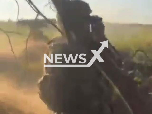 Ukrainian soldier watches through binoculars under tree in Donetsk region, Ukraine in an undated footage.  Fighters of a special unit of the National Guard destroyed two enemy tanks. Note: Picture is a screenshot from a video (@NGUmainpage/Newsflash)