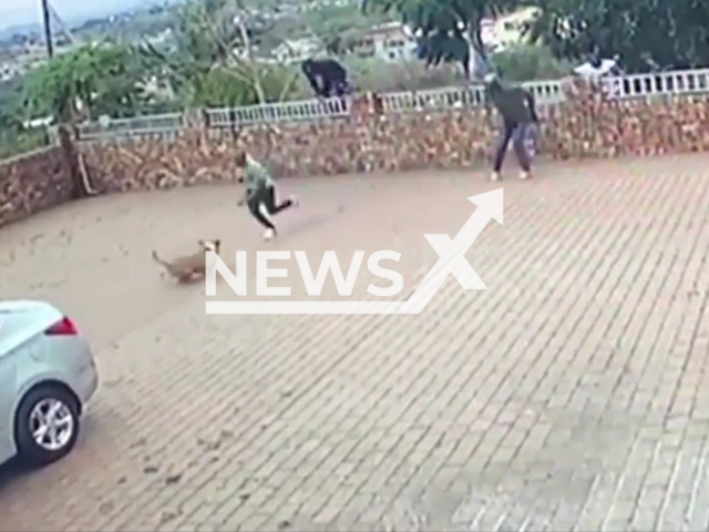 A dog chases a group of thieves in Durban city, South Africa, in a screenshot of undated footage. The thieves escaped after the animal chased them. Note: Photo is a screenshot from the video. (Newsflash)