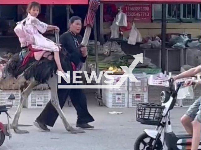 Little girl rides an ostrich on a street in Shandong province, China in undated footage. The girl was reportedly on her way to school. Note: Photo is a screenshot from the video (newlife2020lucky/AsiaWire)