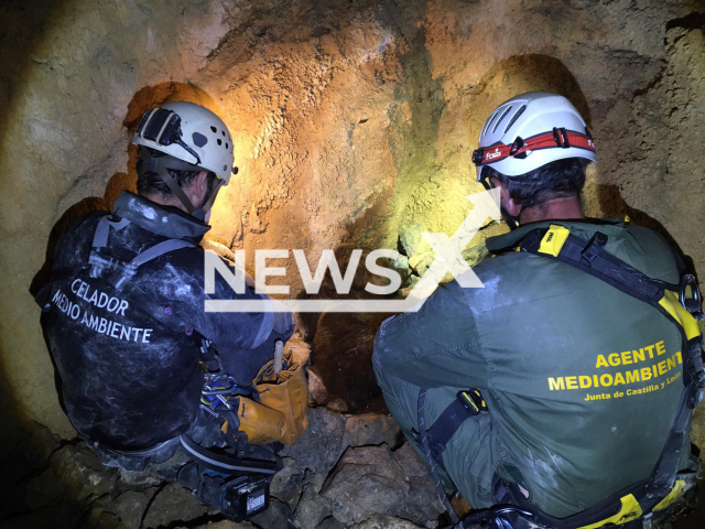 Image shows localization works near the city of Palencia, Spain in an undated photo. The environmental crews found the corpses of an adult bear and two bear cubs on Friday, Sep. 2, 2022. Note: Licensed content. (Junta of Castile and Leon/Newsflash)