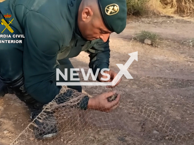 Police officer releasing a bird from a net in Valencia, Spain, undated. Police found  more than 270 birds, most of them protected species, that were illegally captured and released them. 
 Note: Police photo. (Newsflash)