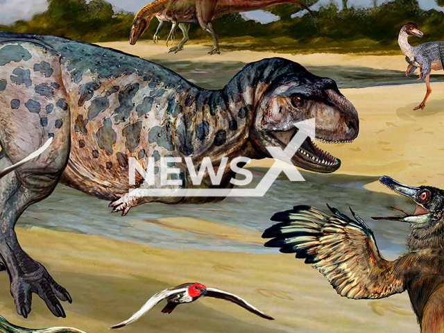 An artistic representation of the Elemgasem nubilus, undated. Scientists found the fossil remains of a new species of dinosaurs in the province of Neuquen, Argentina. 
Note: Licensed photo.  ( Abel German Montes/Newsflash)