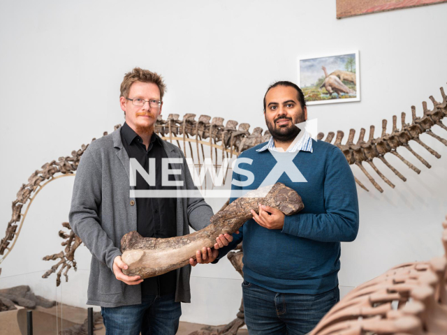 Scientists Ingmar Werneburg (left) and Omar Rafael Regalado Fernandez (right) pose holding a femur from Tuebingosaurus maierfritzorum, undated. 
Paleontologists at the University of Tubingen's Senckenberg Centre for Human Evolution and Palaeoenvironment released a study about the discovery of a new dinosaur species on Thursday, Sept. 8, 2022. Note: Licensed content. (Valentin Marquardt, University of Tubingen/Newsflash)