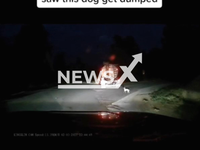 A dog stands on the side of the road as its owner pulls away after abandoning it, in Northwest Alabama, US, on Wednesday, June 15, 2022. Jonathon Romero, 32, from Louisiana, witnessed it and adopted the dog. Note: Photo is a screenshot from video (@qualekk/Newsflash)