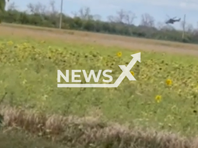 Picture shows Russian Mi-24 Helicopter before it was shot down by the Ukrainian soldiers in Ukraine in undated footage. The Mil Mi-24 is a large helicopter gunship, attack helicopter and low-capacity troop transport with room for eight passengers.
Note: This picture is a screenshot from the video.
(@ua_dshv/Newsflash)