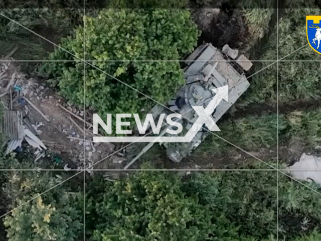 Russian tank stands in a forest area in the Kherson direction, Ukraine in undated photo. Intelligence units of the 123rd Territorial Defense brigade of the Armed Forces of Ukraine in cooperation with the unit of the Special Operations Forces destroyed a Russian tank. Note: Picture is a screenshot from a video (123rd Territorial Defense Brigade/Newsflash)