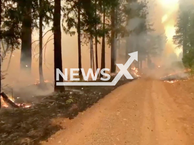 Picture shows fire near the ghost town of Deadwood, in California, in September, 2022. The wildfire is threatening legal cannabis in the state. Note: This picture is a screenshot from the video (Chris Vestal, CAL FIRE/Newsflash).