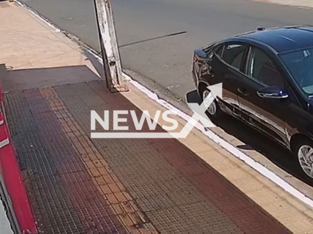 Dog steals driver's lunch box in Pereira Barreto, (SP) in Brazil in August, 2022. The owner of the vehicle reportedly noticed the "theft", but only after the dog devoured all the food. Note: Picture is a screenshot from a video (Newsflash)