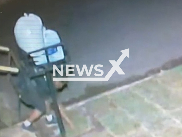 A man steals freshly placed grass from the backyard of a house in Campo Grande, Brazil, in an undated video. Guilherme Costa Marchezoni, 30, reportedly used the house's alarm to scare the thief, but he still took about 11 grass plates. Note: Picture is a screenshot from a video (Newsflash)