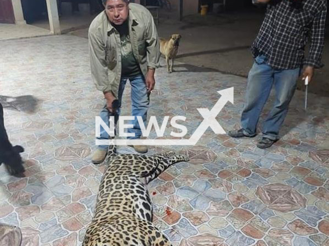 Poachers pose with a jaguar they killed, in Jujuy, Argentina, undated.  The images received criticism on social media. Note: Private photo.  (Newsflash)