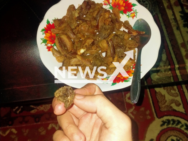 Picture shows the cooked cat meat posted by Rachmat Dani, 26,  undated. He allegedly slaughtered, cooked, and ate his own pregnant pet cat, as well as the three foetuses she was carrying, in North Bengkulu Regency, Indonesia, in September, 2022.
Note: Private photo.  (@mheck.botoell/Newsflash)