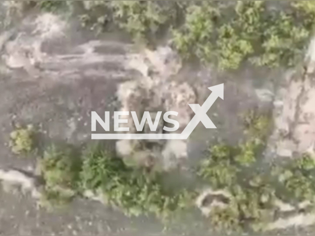 Russian military vehicle stands in a forest area in the south of Ukraine in undated photo. Fighters of the Alfa Special Operations Center of the Security Service of Ukraine found Russian positions and worked on them with cumulative missiles from a drone. Note: Photo is a screenshot from the video (@SecurSerUkraine/Newsflash)