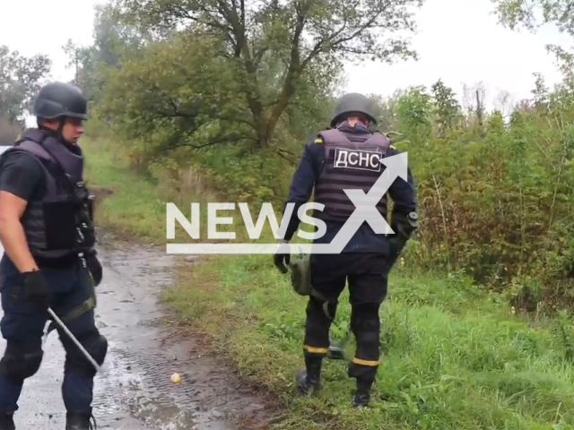 Two sappers search for mines with help of detecting equipment in liberated part of Kharkiv region, Ukraine, Monday, Sep. 19, 2022.  Workers of the State Emergency Service of Ukraine seized more than a thousand explosive items. Note: This picture is a screenshot from the video (@MNS.GOV.UA/Newsflash).