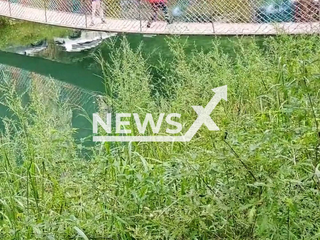 Woman shakes suspension bridge at scenic spot for half an hour to take a photo in Baoding, China. She reportedly caused some of the railings to separate from bridge deck. Note: Picture is a screenshot from a video (165685382/AsiaWire)