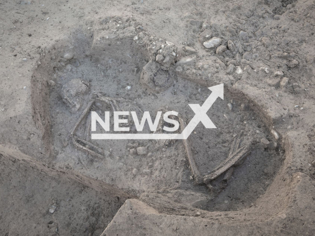 Image shows an adult male skeleton in undated photo. He was buried in a grave pit with his legs drawn up and lying on his right side in Baar, Canton of Zug, Switzerland. Note: Licensed content. (Jochen Reinhard (ADA)/Newsflash)