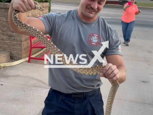 Firefighter, Jaylen Goff, holds a snake in Enid, Oklahoma in undated footage. The snake slithered into the undercarriage of one resident's car .Note: This picture is a screenshot from the video (Enid Fire Department/Newsflash).