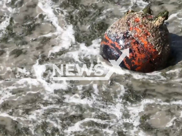 A mine lays on a sea coast in Ukraine in undated photo. Personnel of the Naval Forces unit of the Armed Forces of Ukraine pulled out explosive mine from the sea and destroyed it. Note: This picture is a screenshot from the video (@navy.mil.gov.ua/Newsflash).