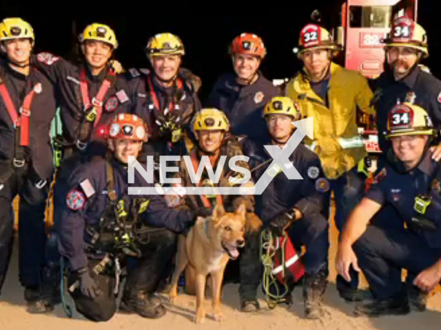 Firefighters pose with the blind dog who escaped from his owner's yard and fell into a 15-foot-deep hole after the rescue in Pasadena, California, Tuesday, Sep. 20, 2022. The picture was taken before returning the dog to the owner Note: This picture is a screenshot from the video (Pasadena Fire Department/Newsflash).