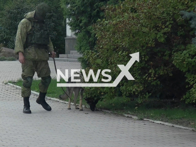 Pro-Russian separatists examine surroundings near 'Polling Stations' for bombs ahead of referendum to Join Russian Federation in the Luhansk region in Ukraine in undated footage.
Russian President Vladimir Putin announce referendums in Donetsk and Luhansk Wednesday, Sept. 21, 2022.
Note: This picture is a screenshot from the video.
(Ministry of Defense of Russia/Newsflash)