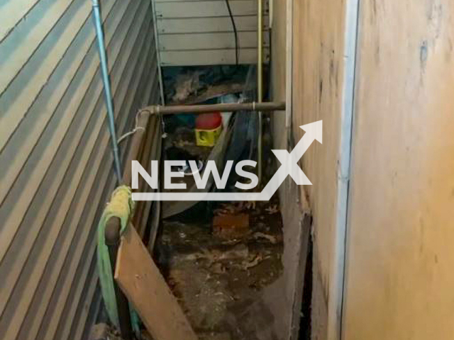 Animal control officers rescue a kitten trapped inside an opening in the exterior wall of a resident’s house in Dedham, Massachusetts, USA. The kitten, now dubbed Rowenna, was taken to the Animal Rescue League for care and veterinary attention. Note: This picture is a screenshot from the video (Dedham Police Department/Newsflash).