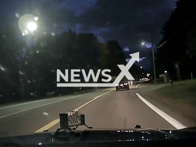 Deer leaps over a car on a road in Michigan, US, in undated footage. State police trooper, Anderson, skillfully hit the brakes afterward to avoid hitting another deer. Note: Picture is a screenshot from a video (@MspSouthwestMI/Newsflash)