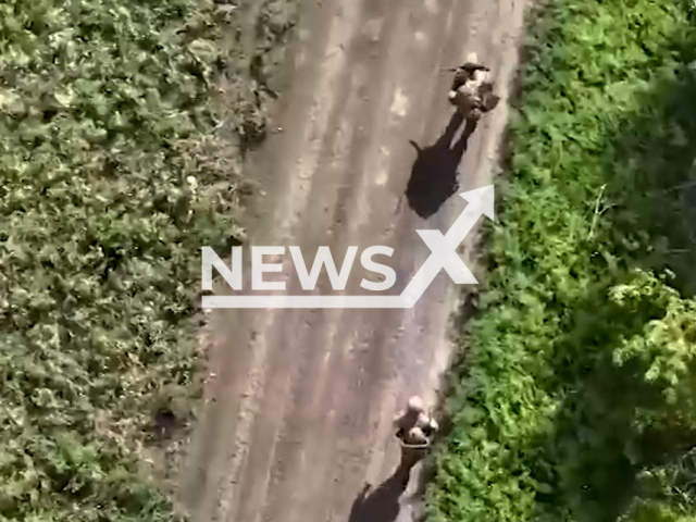 Picture shows soldiers of the Armed Forces of Ukraine in Ukraine in undated footage.
Russian Airborne Troops discovered the positions of the Armed Forces of Ukraine with personnel and equipment near forest plantation.
Note: This picture is a screenshot from the video.
(@mil/Newsflash)