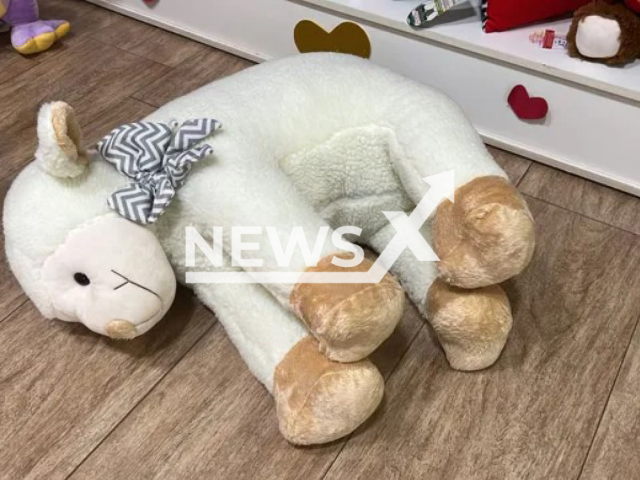 Picture shows the plush toy that Pacato, a stray dog, attempted to steal, undated. Pacato tried to steal the toy in Tabatinga, in Sao Paulo, Brazil, on Monday, Sept. 26, 2022. Note: Private photo (Marcos Alexandre Soler/Newsflash)