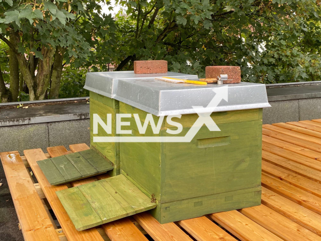 Picture shows the two bee boxes, undated. The German publishing house has set up two beehives on its headquarters rooftop. Note: Permission obtained for photo. (Verlagsgruppe Oetinger, NewsX/BF)